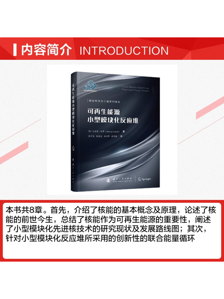 بوك-وينشير مفاعل معياري صغير ل - مراجعة Renewable Energy Books وسعره